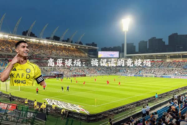 高原球场:被误读的竞技场